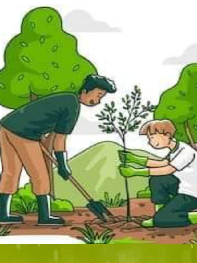 Growing Together: Celebrate Earth Day with 10 Powerful Ways to Save Our Forests”